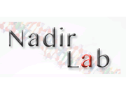 Nadir Shop logo