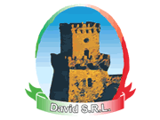 David Srl logo