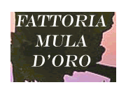 Fattoria Mula D'Oro