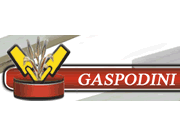 Gaspodini logo