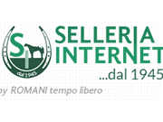 Selleria Internet logo