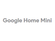 Visita lo shopping online di Google Home Mini
