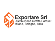 Exportare logo