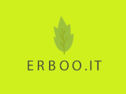 Erboo logo