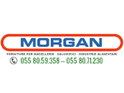 Morganline logo