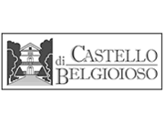 Castello di Belgioioso logo