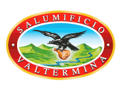 Valtermina logo