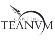 Cantine Teanum logo