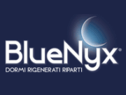 BlueNyx logo