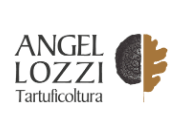 Angel Lozzi logo