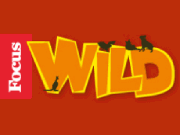 Focus Wild logo