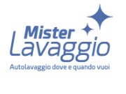 Mister Lavaggio logo