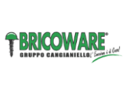 Bricoware logo