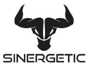 SinergetiC logo