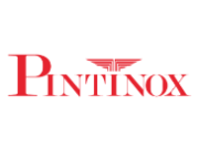 Pintinox logo