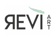 Revi Art logo