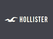 Hollister codice sconto
