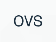 OVS logo