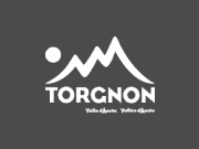 Torgnon logo