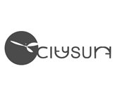 Citysurf logo