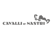CAVALLI E NASTRI logo