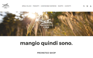 Visita lo shopping online di Prometeo Farro