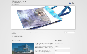 Il sito online di Puntoint