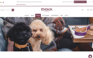 Il sito online di EMMA Firenze