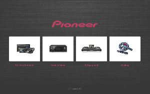 Il sito online di Pioneer
