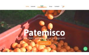 Il sito online di Patemisco