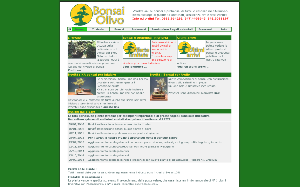Il sito online di Bonsai Olivo