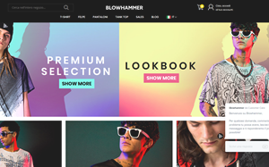 Visita lo shopping online di Blowhammer