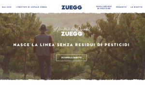Il sito online di Zuegg