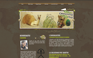 Il sito online di Ciringuito Tour