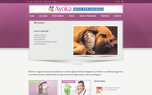 Il sito online di Ayoka