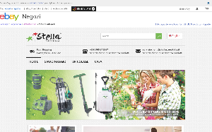 Il sito online di StellaStore Italia