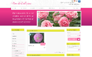 Il sito online di Rose da Collezione