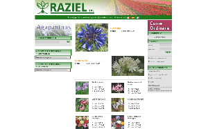 Il sito online di Raziel