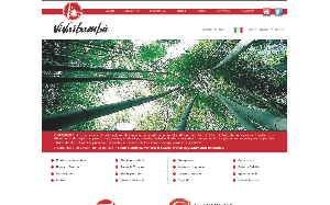 Il sito online di Vivai Bambù