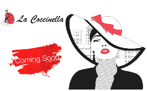 Il sito online di La Coccinella store