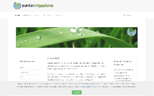 Il sito online di Puntoirrigazione