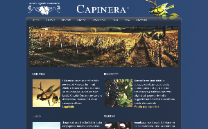 Il sito online di Capinera