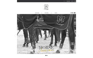 Il sito online di Fixdesign Horses Riding