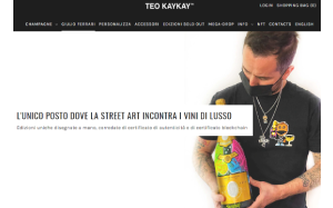 Il sito online di Teo Kaykay