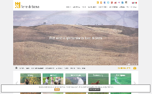 Il sito online di Terre di Siena