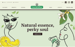 Il sito online di Galvanina
