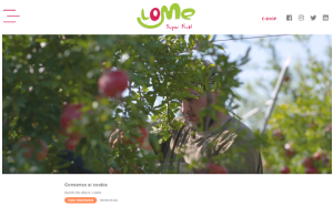 Il sito online di Lome Superfruit