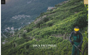 Il sito online di Luca Faccinelli