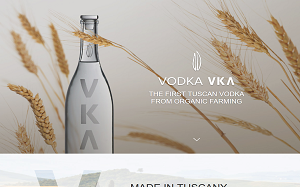 Il sito online di Vodka VKA