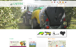 Il sito online di Caffini